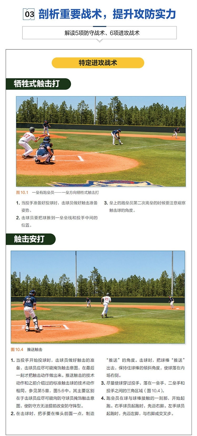 棒球战术